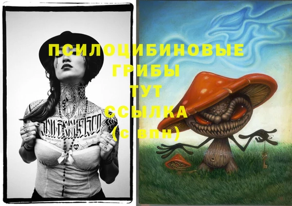 прущие грибы Абинск