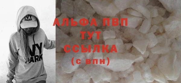 прущие грибы Абинск
