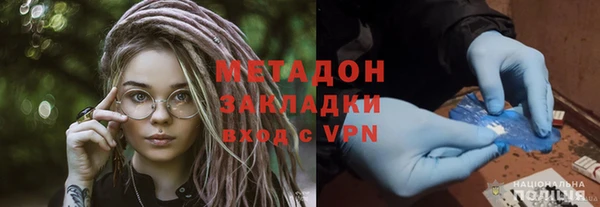 прущие грибы Абинск