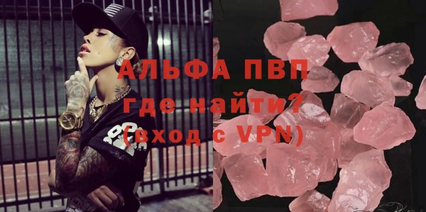 прущие грибы Абинск