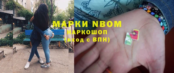 прущие грибы Абинск