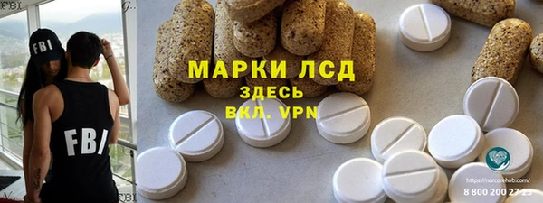 прущие грибы Абинск