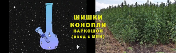ГАЛЛЮЦИНОГЕННЫЕ ГРИБЫ Абаза